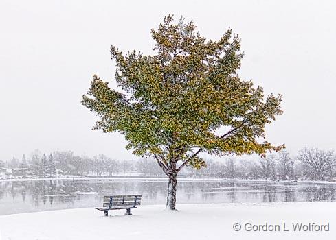 Snowfall On The Canal_02543.jpg - Rideau Canal Waterway photographed at Smiths Falls, Ontario, Canada.